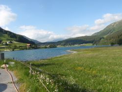 20120623_Wiesen_32