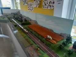 20251018_Ausstellung-07