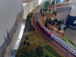 20251019_Ausstellung-22