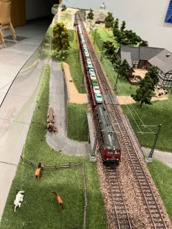 20250613_Autotransport