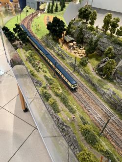 20250613_Zug-bei-Waldgaststaette